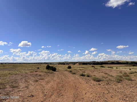 Tiny photo for 261 S Sunset Boulevard, Taylor, AZ 85939 (MLS # 263216)