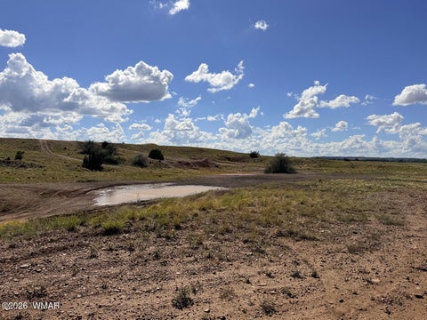 Tiny photo for 261 S Sunset Boulevard, Taylor, AZ 85939 (MLS # 263216)