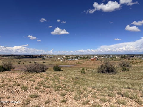 Tiny photo for 261 S Sunset Boulevard, Taylor, AZ 85939 (MLS # 263216)