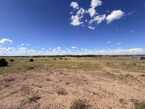 Tiny photo for 261 S Sunset Boulevard, Taylor, AZ 85939 (MLS # 263216)