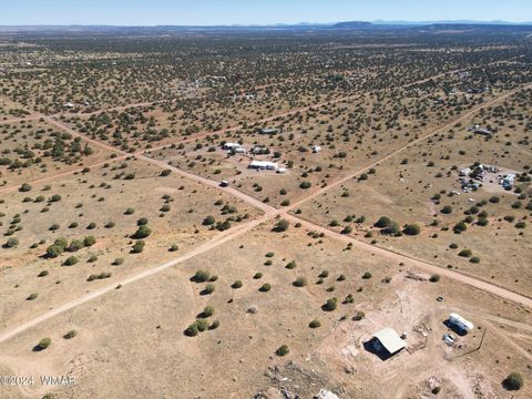 Tiny photo for 4508 Appaloosa Road, Snowflake, AZ 85937 (MLS # 258898)