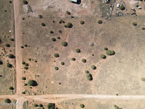 Photo of 4508 Appaloosa Road, Snowflake, AZ 85937 (MLS # 258898)