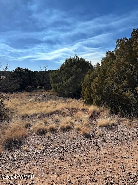 Tiny photo for 8314 Silver Creek Drive, Show Low, AZ 85901 (MLS # 253963)