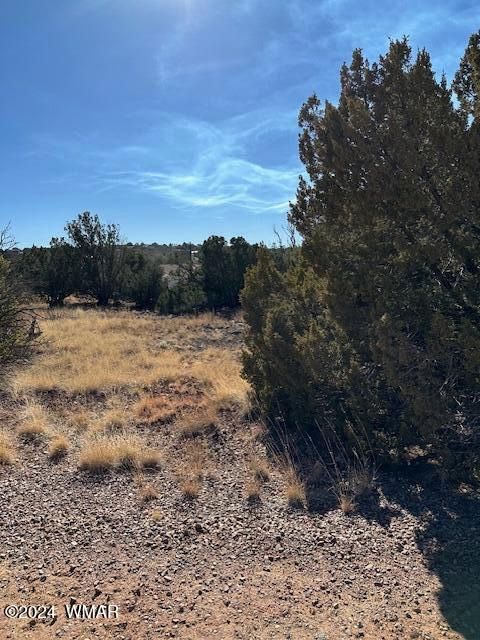 Tiny photo for 8314 Silver Creek Drive, Show Low, AZ 85901 (MLS # 253963)