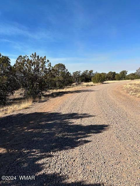 Photo of 8314 Silver Creek Drive, Show Low, AZ 85901 (MLS # 253963)