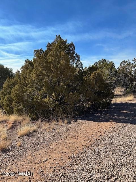 Tiny photo for 8314 Silver Creek Drive, Show Low, AZ 85901 (MLS # 253963)