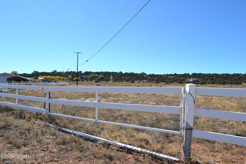 Tiny photo for 058N Bar Ditch Road, Taylor, AZ 85939 (MLS # 256485)