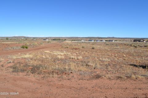 Tiny photo for 058N Bar Ditch Road, Taylor, AZ 85939 (MLS # 256485)