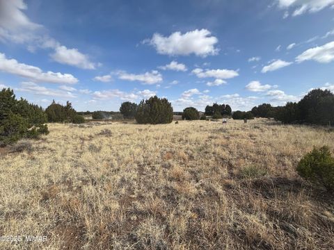 Tiny photo for 1956 Creekside Circle, Show Low, AZ 85901 (MLS # 259278)