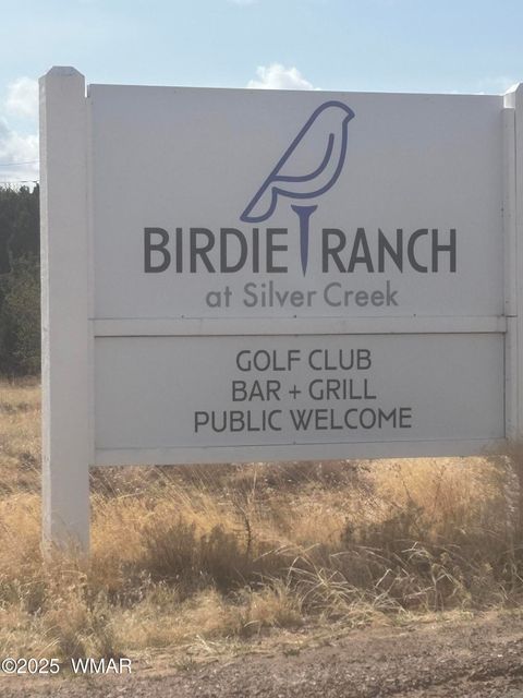 Tiny photo for 1956 Creekside Circle, Show Low, AZ 85901 (MLS # 259278)