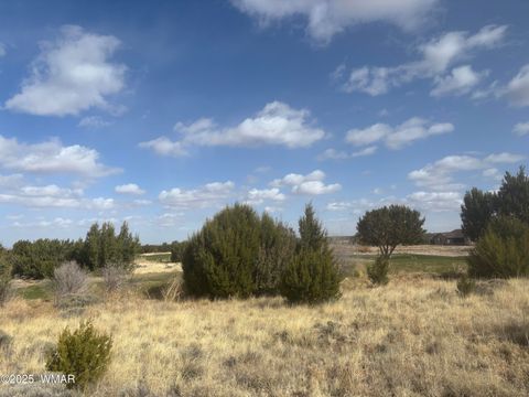 Photo of 1956 Creekside Circle, Show Low, AZ 85901 (MLS # 259278)