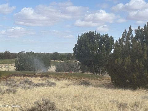 Tiny photo for 1956 Creekside Circle, Show Low, AZ 85901 (MLS # 259278)
