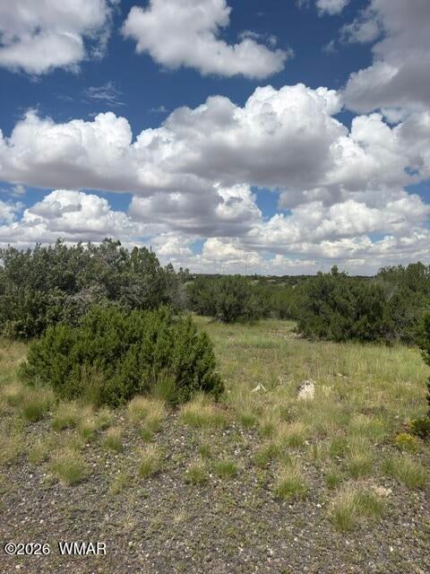 Tiny photo for TBD CR 5169, Concho, AZ 85924 (MLS # 263042)