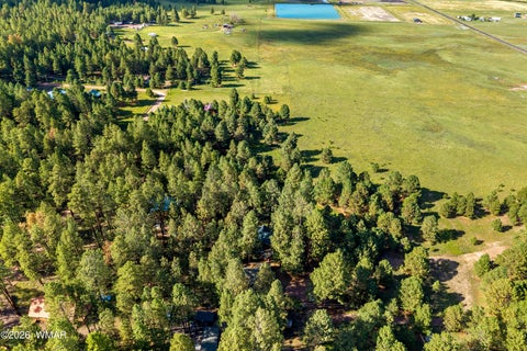 Tiny photo for 15 CR N 2145, Alpine, AZ 85920 (MLS # 263031)