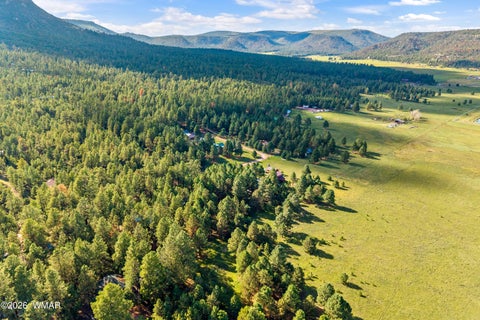 Tiny photo for 15 CR N 2145, Alpine, AZ 85920 (MLS # 263031)