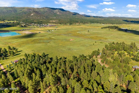 Tiny photo for 15 CR N 2145, Alpine, AZ 85920 (MLS # 263031)