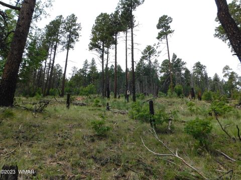 Tiny photo for 13 N2151, Alpine, AZ 85920 (MLS # 248096)