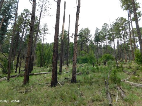 Tiny photo for 13 N2151, Alpine, AZ 85920 (MLS # 248096)