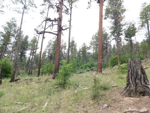 Tiny photo for 13 N2151, Alpine, AZ 85920 (MLS # 248096)