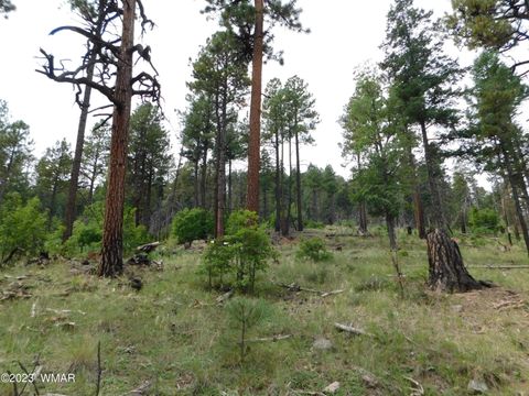Tiny photo for 13 N2151, Alpine, AZ 85920 (MLS # 248096)
