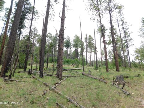 Tiny photo for 13 N2151, Alpine, AZ 85920 (MLS # 248096)