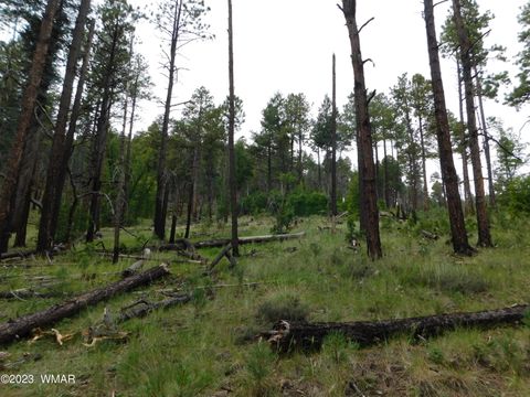 Tiny photo for 13 N2151, Alpine, AZ 85920 (MLS # 248096)