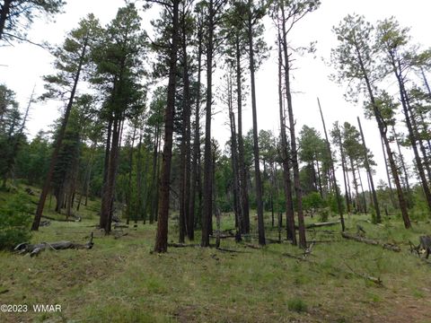 Tiny photo for 13 N2151, Alpine, AZ 85920 (MLS # 248096)