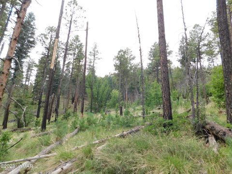 Tiny photo for 13 N2151, Alpine, AZ 85920 (MLS # 248096)