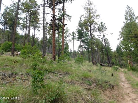 Tiny photo for 13 N2151, Alpine, AZ 85920 (MLS # 248096)