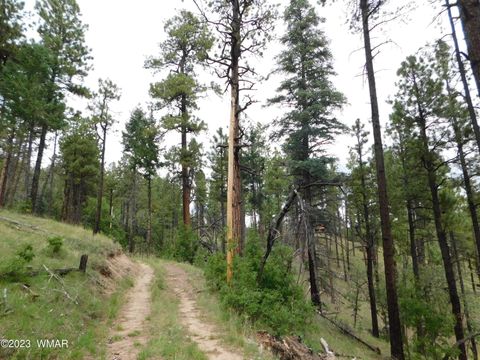 Tiny photo for 13 N2151, Alpine, AZ 85920 (MLS # 248096)