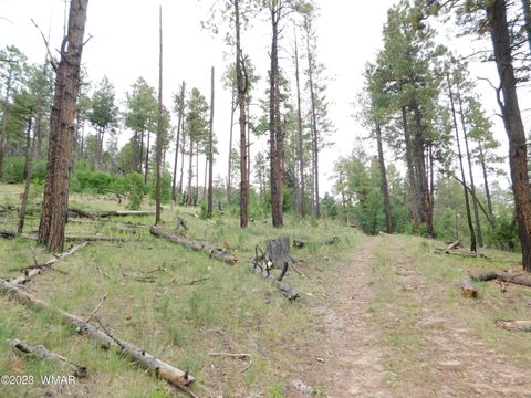 Tiny photo for 13 N2151, Alpine, AZ 85920 (MLS # 248096)