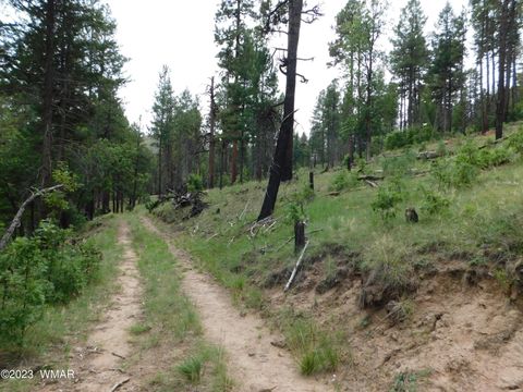 Tiny photo for 13 N2151, Alpine, AZ 85920 (MLS # 248096)