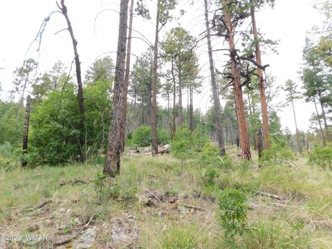 Tiny photo for 13 N2151, Alpine, AZ 85920 (MLS # 248096)