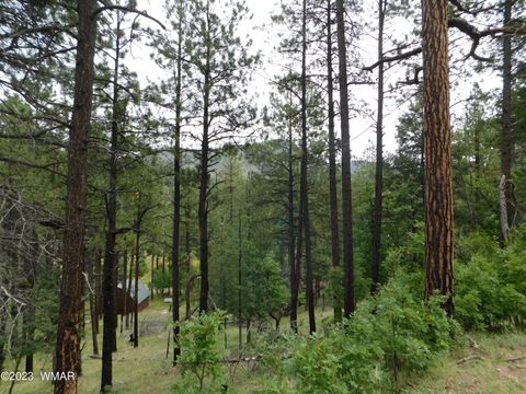 Tiny photo for 13 N2151, Alpine, AZ 85920 (MLS # 248096)