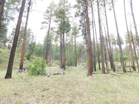 Tiny photo for 13 N2151, Alpine, AZ 85920 (MLS # 248096)