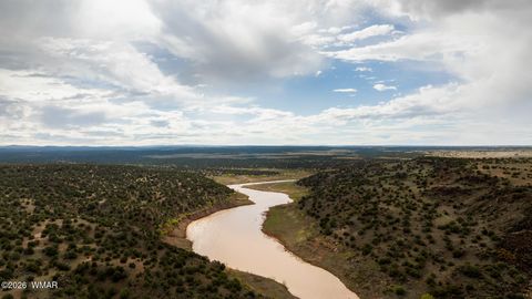 Tiny photo for 631 Centennial Boulevard, Taylor, AZ 85939 (MLS # 259928)