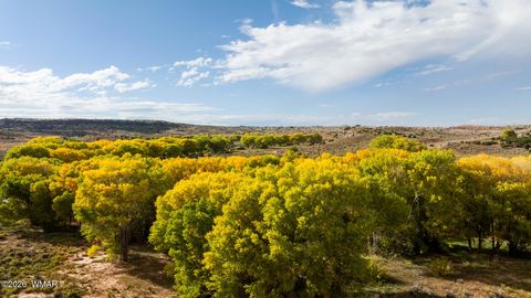 Tiny photo for 631 Centennial Boulevard, Taylor, AZ 85939 (MLS # 259928)