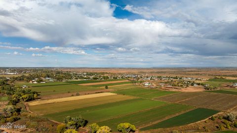 Tiny photo for 631 Centennial Boulevard, Taylor, AZ 85939 (MLS # 259928)