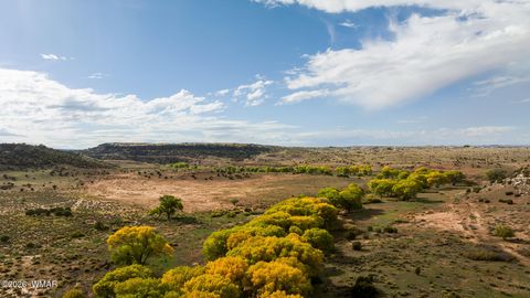 Tiny photo for 631 Centennial Boulevard, Taylor, AZ 85939 (MLS # 259928)