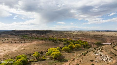 Tiny photo for 631 Centennial Boulevard, Taylor, AZ 85939 (MLS # 259928)