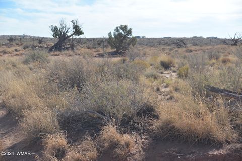 Tiny photo for 8224 Charolais Trail, Snowflake, AZ 85937 (MLS # 258730)