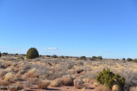 Tiny photo for 8224 Charolais Trail, Snowflake, AZ 85937 (MLS # 258730)