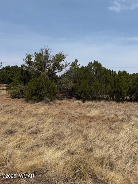 Tiny photo for 8700 Silver Creek Drive, Show Low, AZ 85901 (MLS # 257045)