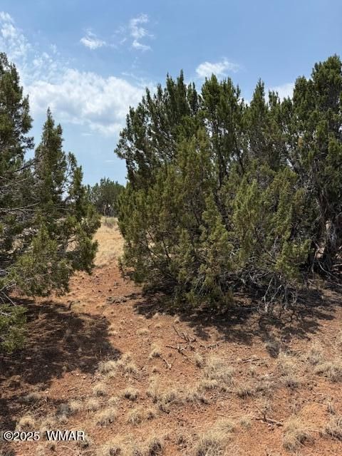 Tiny photo for 8700 Silver Creek Drive, Show Low, AZ 85901 (MLS # 257045)