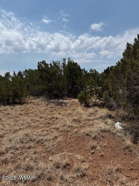 Tiny photo for 8700 Silver Creek Drive, Show Low, AZ 85901 (MLS # 257045)