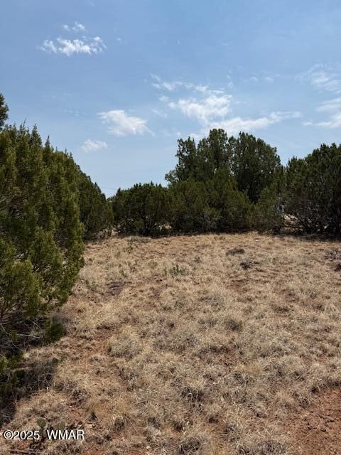 Tiny photo for 8700 Silver Creek Drive, Show Low, AZ 85901 (MLS # 257045)