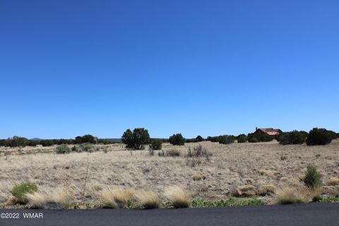 Tiny photo for 7673 Arroyo Plata Drive, Show Low, AZ 85901 (MLS # 241556)