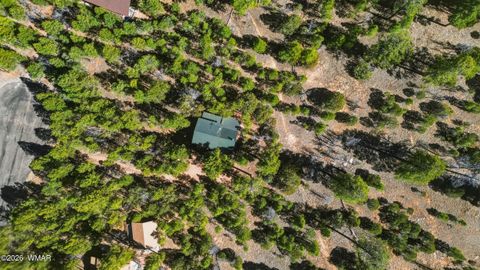 Tiny photo for 5884 Tamarron Drive, Happy Jack, AZ 86024 (MLS # 260016)