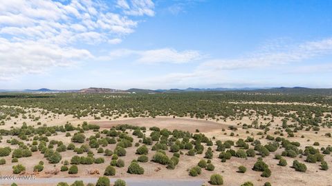 Tiny photo for TBD N 40th Street, Show Low, AZ 85901 (MLS # 259609)