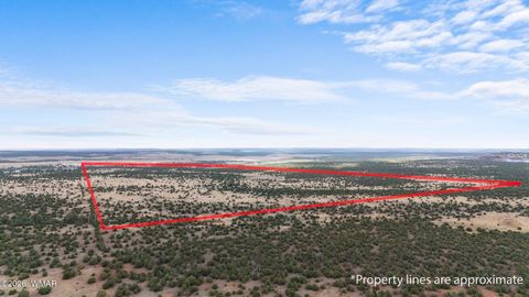 Tiny photo for TBD N 40th Street, Show Low, AZ 85901 (MLS # 259609)